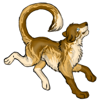 Playful Brown