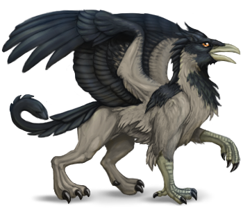 Hooded Crow Gryphon
