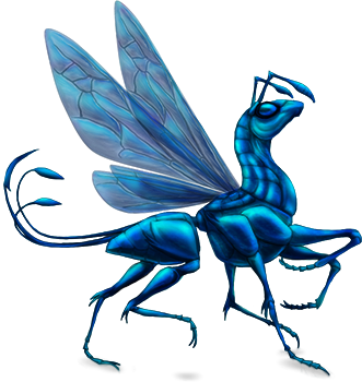 Blue Mud Dauber