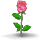 http://beastkeeper.com/resources/island/pink-rose.png