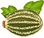 Cactus Melon