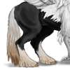 Black Hippogryph Rump