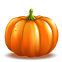 Festive Pumpkin