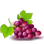 Festive Grapes