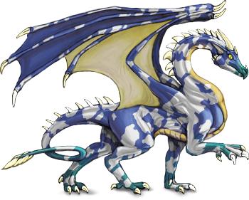 piebald blue dragon