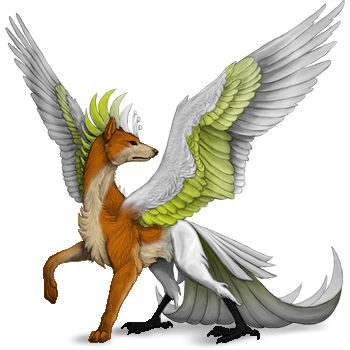 dingo cockatoo